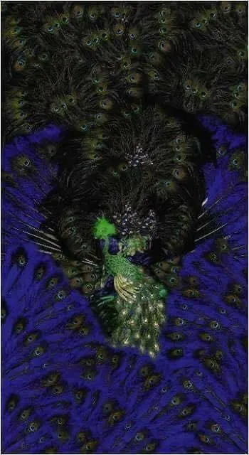 Black & Blue Peacock Scarf - Modal Elegance from India
