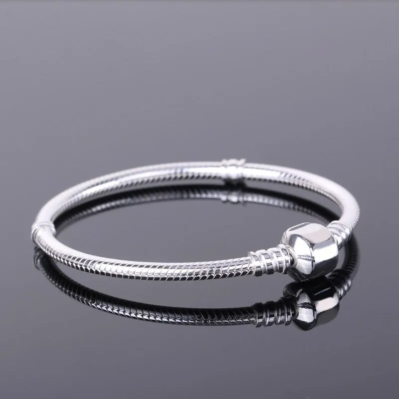 Silver Pandora style charm bracelet | Charms for bracelet | Boy Teenager Bracelet | Sterling silver Bracelet | Delicate Friendship Bracelet